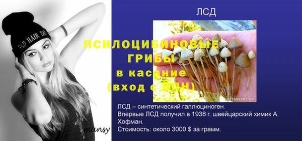 хмурый Балабаново